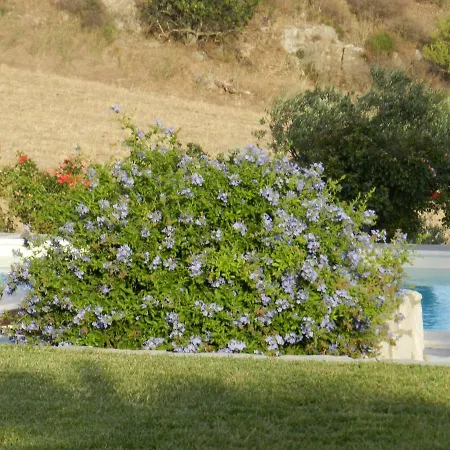 Masseria Acque Di Palermo *